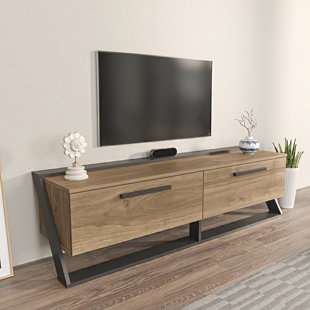 Wayfair tv stand 2024 barn door